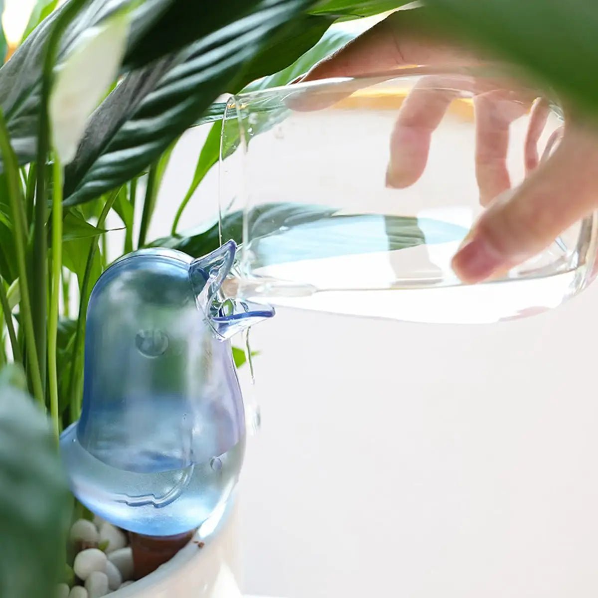 Oyas oiseau / irrigation douce et constante pour vos plantes - Jardin de Véro